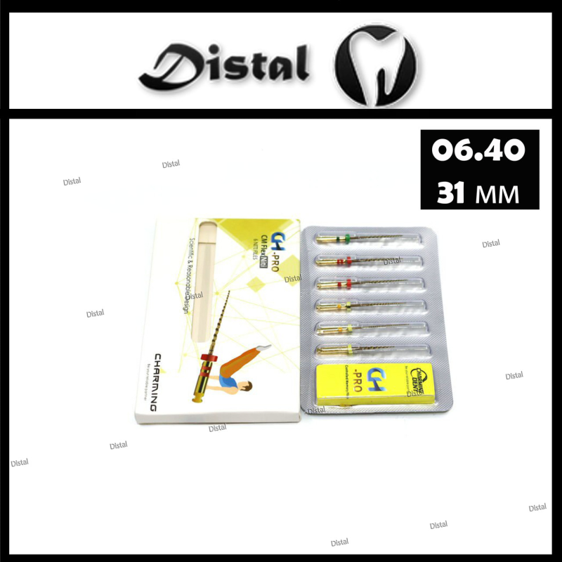 Файл роторний CH-PRO, 31 мм № 06.40 машинні Файл роторний CH-PRO, 31 мм № 06.40 машинні