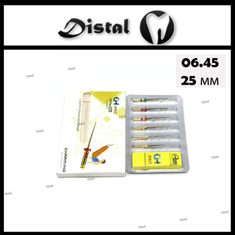 Файл роторний CH-PRO, 25 мм № 06.45 машинні Файл роторний CH-PRO, 25 мм № 06.45 машинні