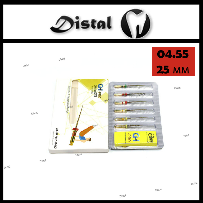 Файл роторний CH-PRO, 25 мм No 04.55 машинні Файл роторний CH-PRO, 25 мм No 04.55 машинні