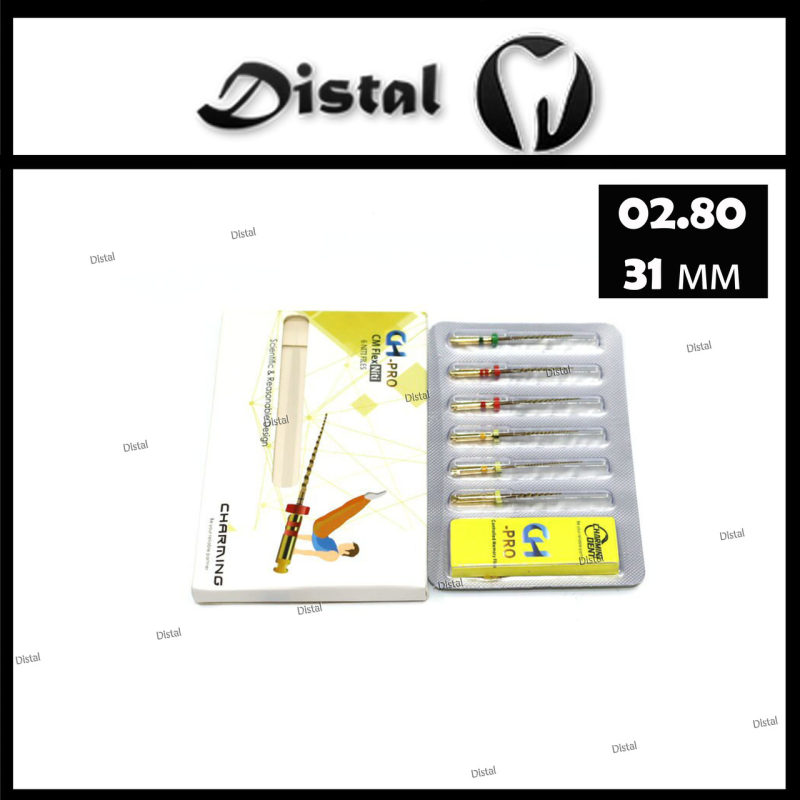 Файл роторний CH-PRO , 31 мм № 02.80 машинні Файл роторний CH-PRO , 31 мм № 02.80 машинні